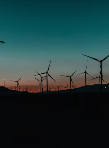 Wind farm at sundown